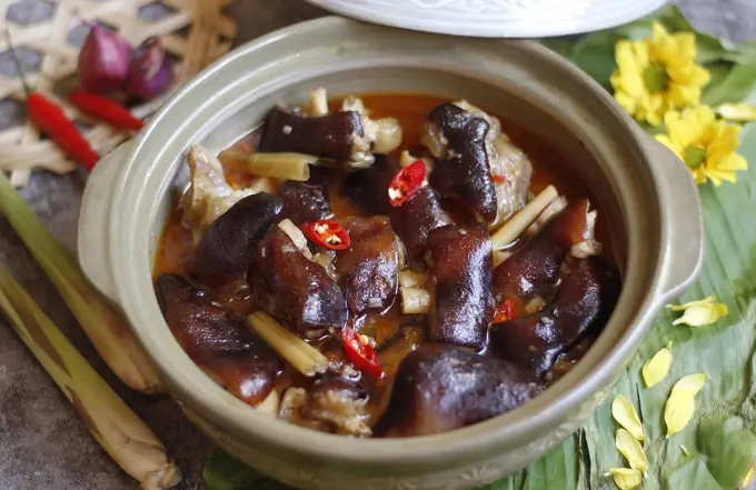 Giả cầy miền Tây